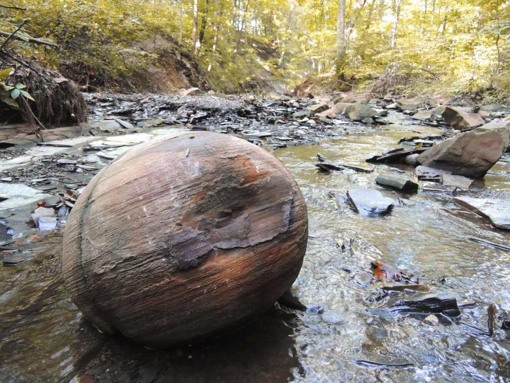 Relax and discover at Highbanks Metro Park - Metro Parks - Central Ohio 