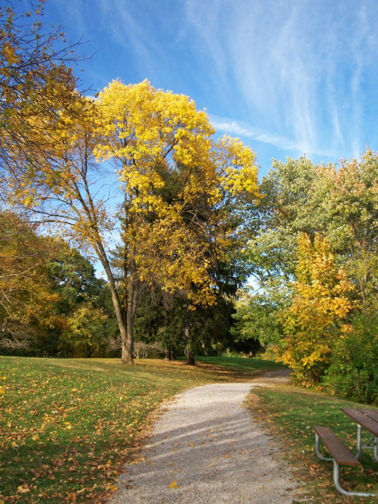 For Adults: Nature Ramble - Metro Parks - Central Ohio Park System