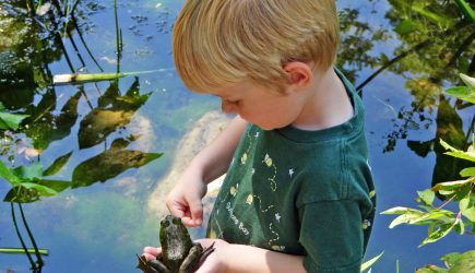 A young boy holds a bullfrog at Inniswood Metro Gardens