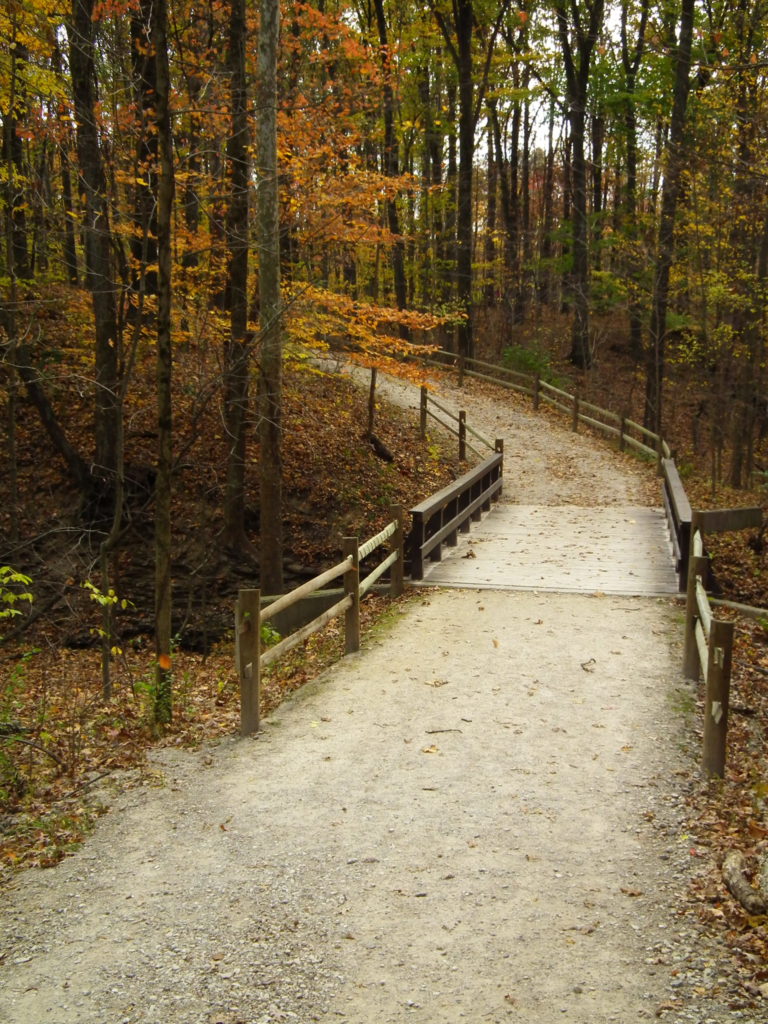 Escape to the Wild: Discover Ohio's Hidden Gem at Highbanks Metro Park