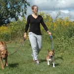 Walking dogs on connector trail prairie at Sharon Woods Metro Park