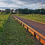 Boardwalk at Glacier Ridge