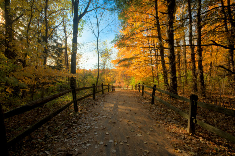 Blendon Woods Metro Park marks 70 years of connecting people to the ...