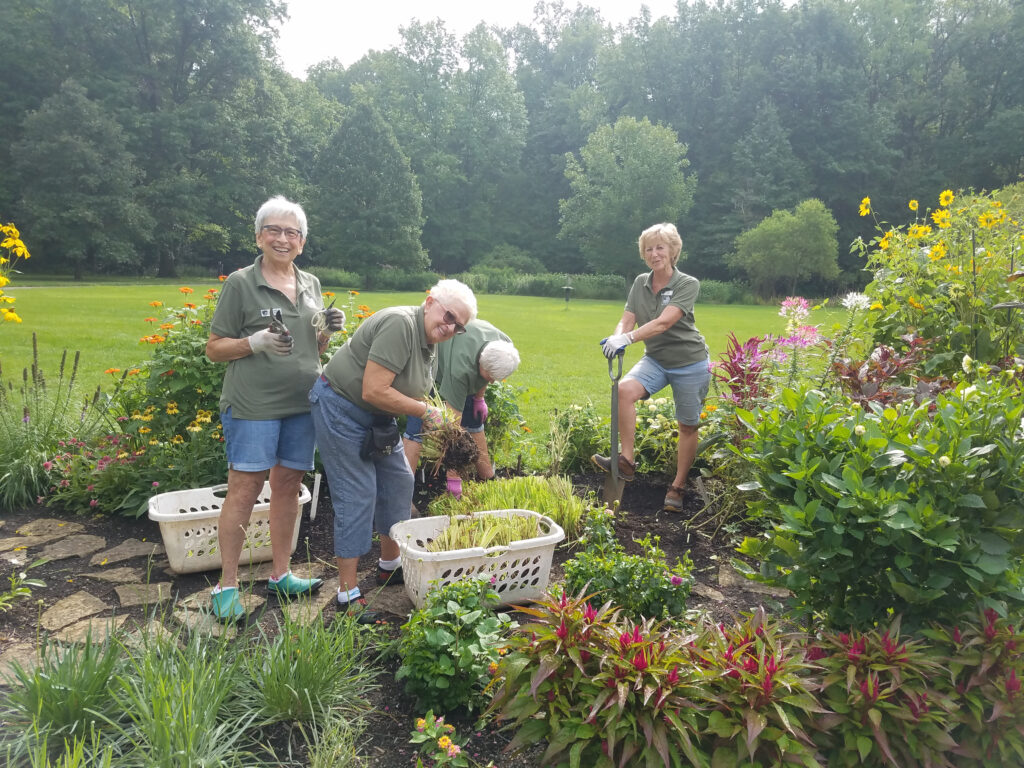 Discover The World Of Gardening As A Volunteer At Inniswood Metro 