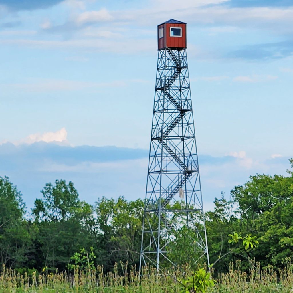 Are you bold enough to climb the fire tower?