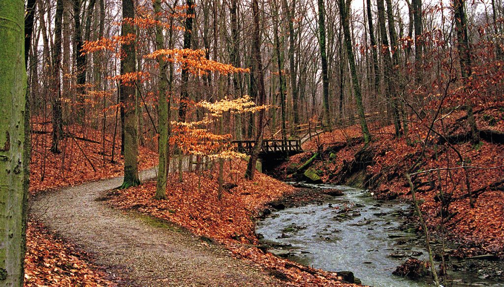 October Fun at Highbanks Metro Park - Metro Parks - Central Ohio Park ...