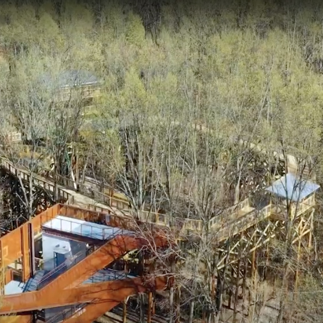 Tim Talks Blacklick Woods Canopy Walk Metro Parks Central Ohio