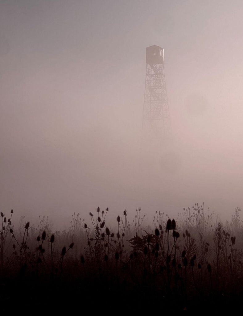 The Fire Tower — One Year in Photos